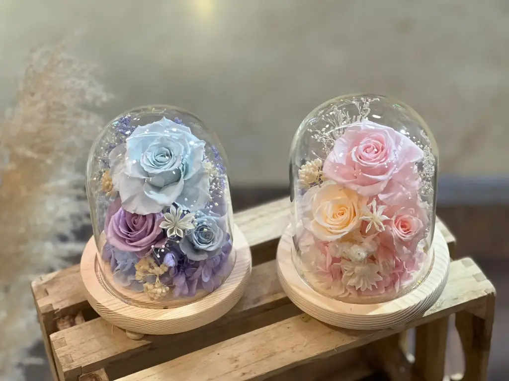 永生花玻璃罩