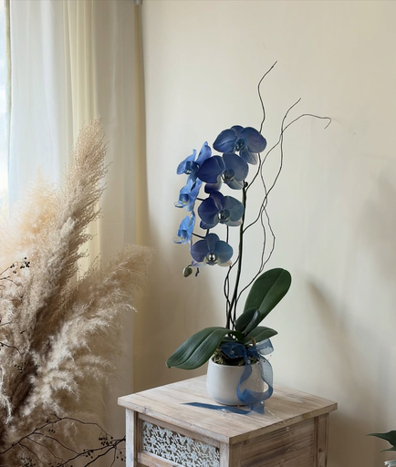  全人手噴染蘭花 | Aura in Blue 